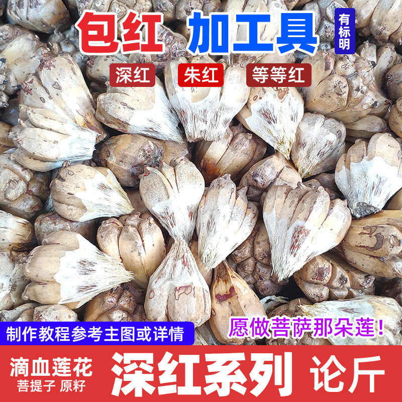 禅悦缘【 深红系列 论斤】滴血莲花原籽 文玩菩提子手串毛料包邮