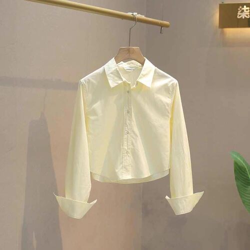 秋季女装小个子衬衣设计小众休闲上衣百搭短款高腰洋气长袖衬衫