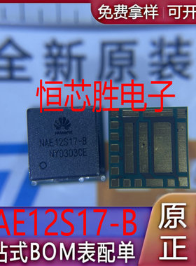 电源模块 NAE12S17-B NAE12S20-C NAM12S06-D -A 全新原装