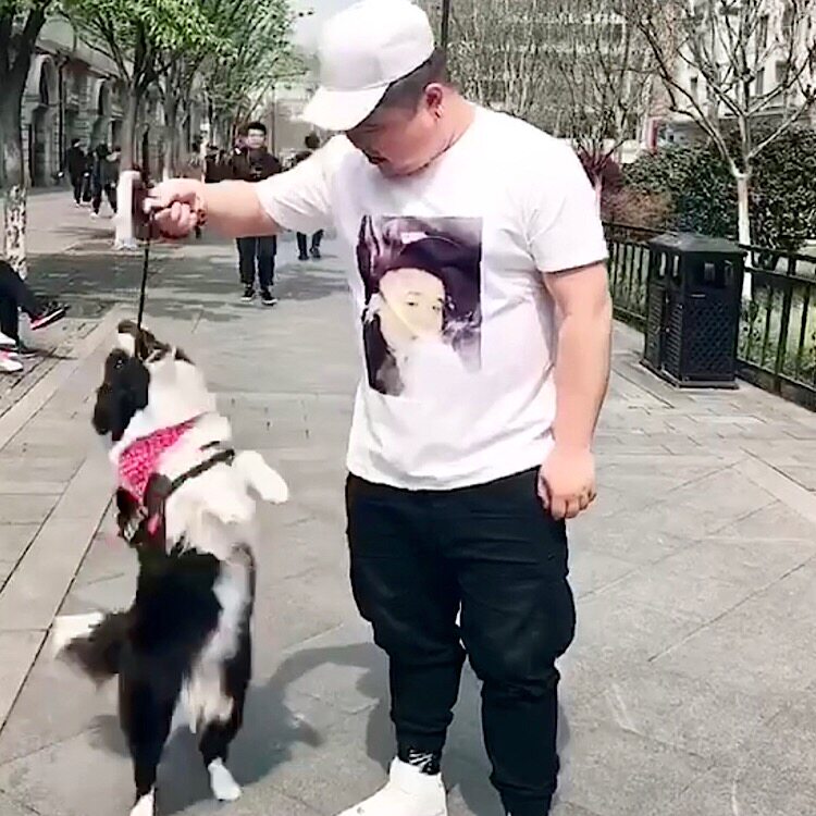 来图定制印照片男女款亲子加肥加大码短袖t恤胖子班服定做情侣装