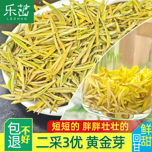 短壮肥-鲜浓黄金芽-明前二采3优2025年新茶安吉正宗黄金叶白茶叶