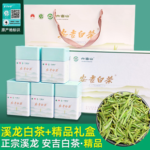 安吉白茶礼盒装【溪龙头采+精美礼盒+防伪码】2025年新茶珍稀白茶