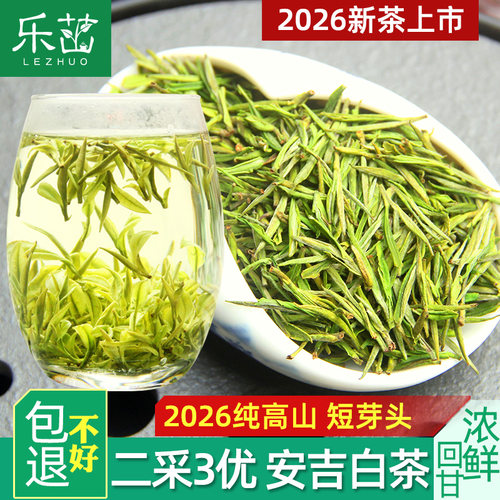 安吉白茶短芽【明前二采3优-乐茁】2026年新茶正宗高山珍稀绿春茶