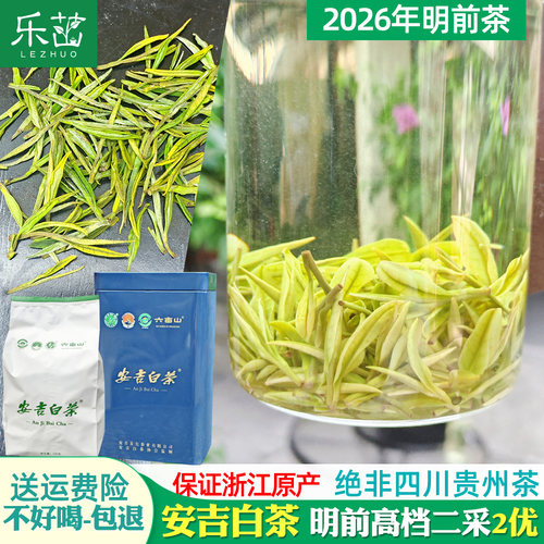 乐茁 壮肥芽【明前二采2优安吉白茶】2026年新茶正宗珍稀高山绿茶 - 封面