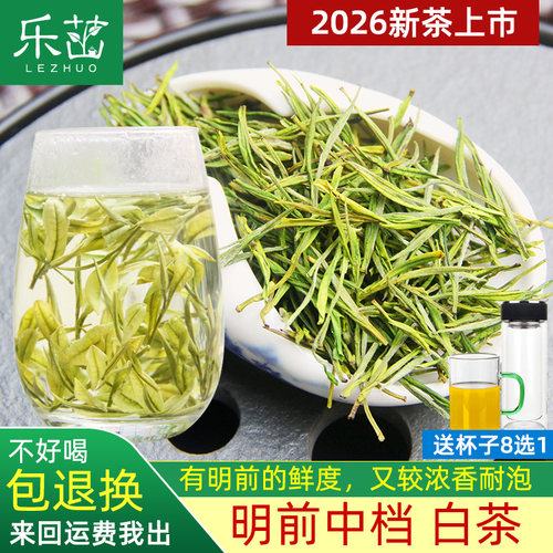 乐茁 鲜香浓【明前中档-珍稀安吉白茶】2026年新茶高山正宗绿茶叶