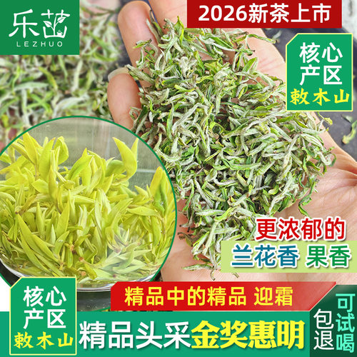 迎霜 更浓香【精品中的精品】2026年新茶金奖惠明茶景宁手工绿茶