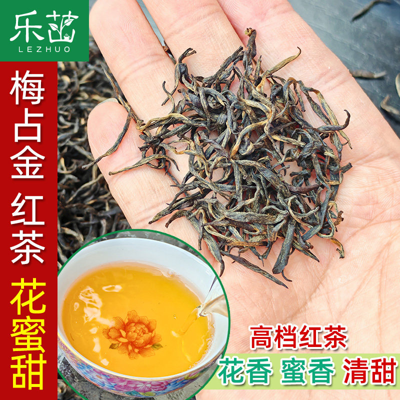 兰花香花果蜜香-红茶梅占金-肥芽明前高档2026年新茶小种红茶茶叶