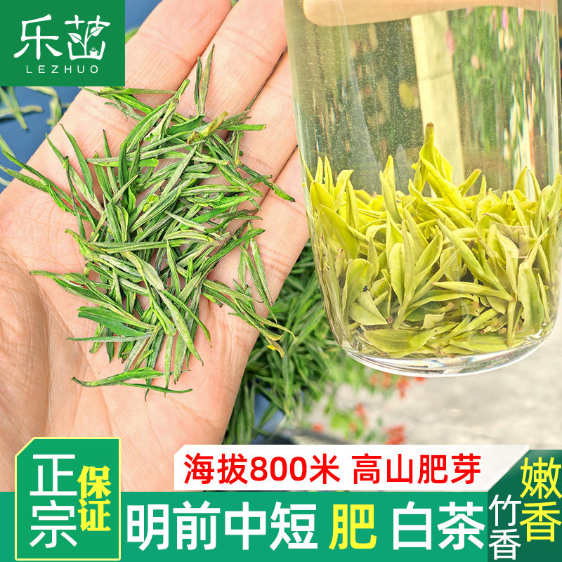 【竹香+兰香】明前中短·大肥芽125克珍稀安吉白茶正宗2025年新茶