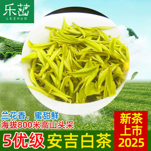 海拔800米高山2025年新茶【头采精品5优·安吉白茶】珍稀明前正宗