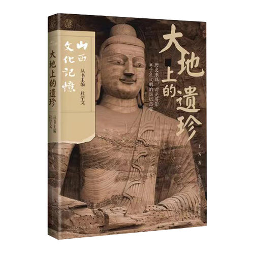 正版 山西文化记忆  大地上的遗珍  王芳著 山西教育出版社