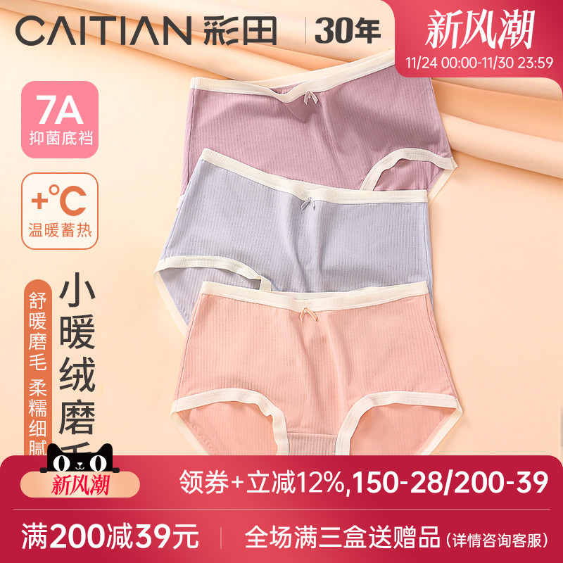 小暖绒磨毛山茶花内裤内裤彩田