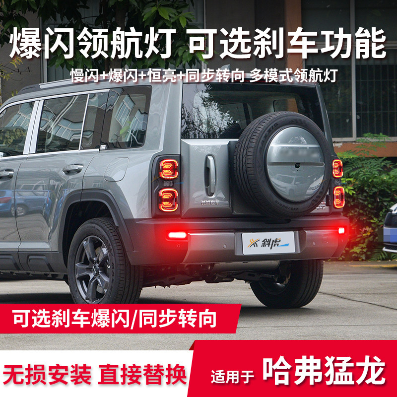 猛龙改装爆闪领航灯后杠巡航灯图片