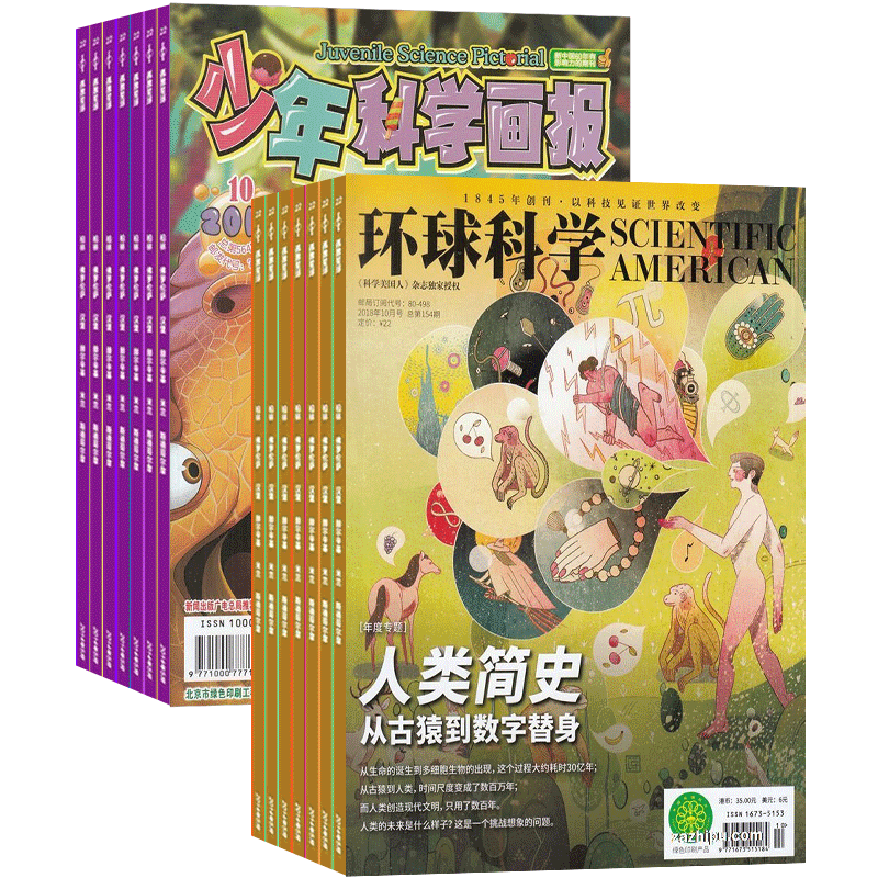 少年科学画报+环球组合