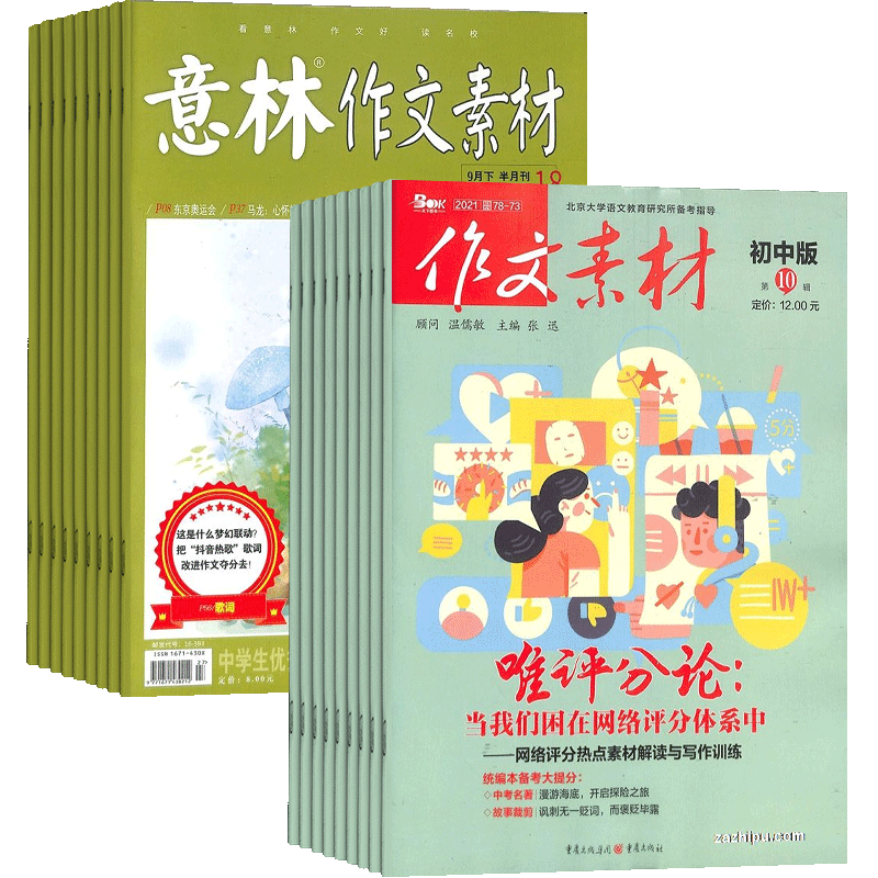 写作技巧语文学习意林作文素材