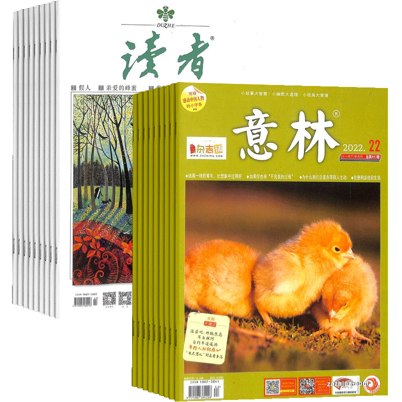 课外阅读书籍读者+意林杂志