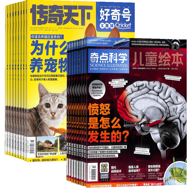 奇点科学+好奇号杂志订阅
