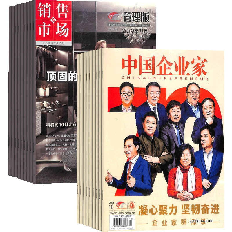销售与市场+中国企业家组合
