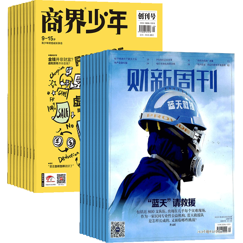 商界少年+财新周刊组合订阅