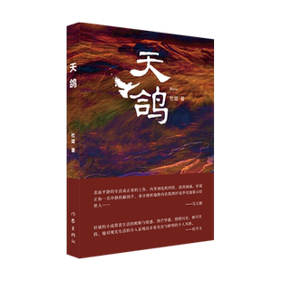 天鸽 意料之外情理之中 窥见更为广阔的世道人心