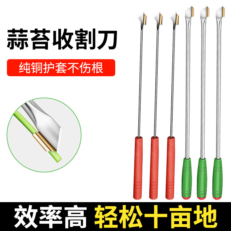 不銹鋼加長蒜苔收割刀