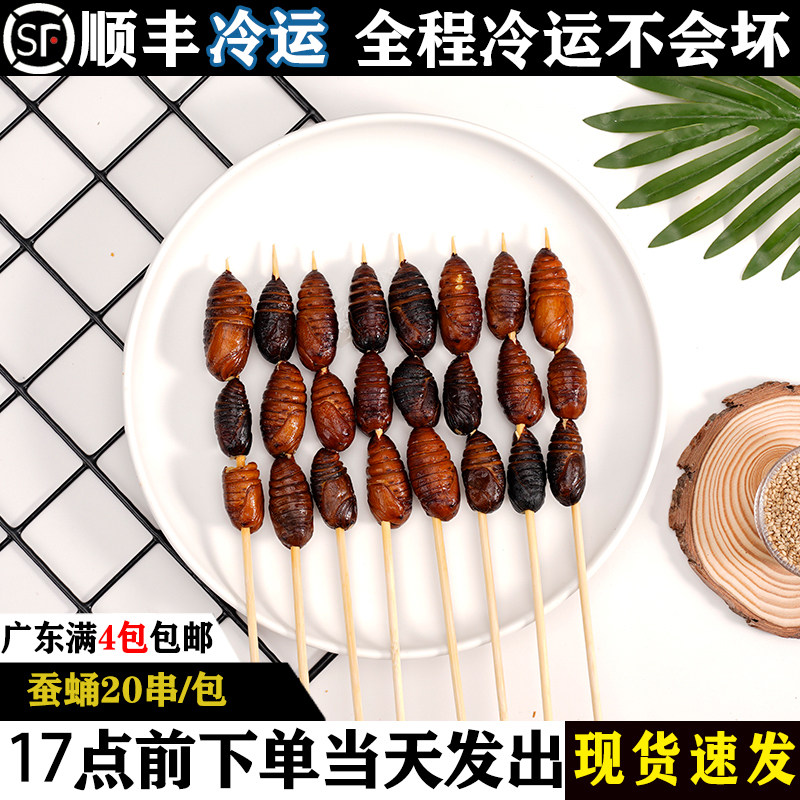 蚕蛹大串金丝蛹20支冷冻蝉蛹蚕蛹串商用昆虫烧烤油炸食材特色烤串