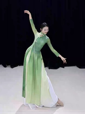 入画江南古典舞旗袍套装超大码演出服夜泊秦淮春三月苏州慢表演服