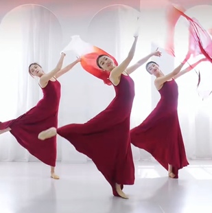 我爱你中国舞蹈服装红色吊带舞蹈长裙现代舞裙子万疆如愿演出服女