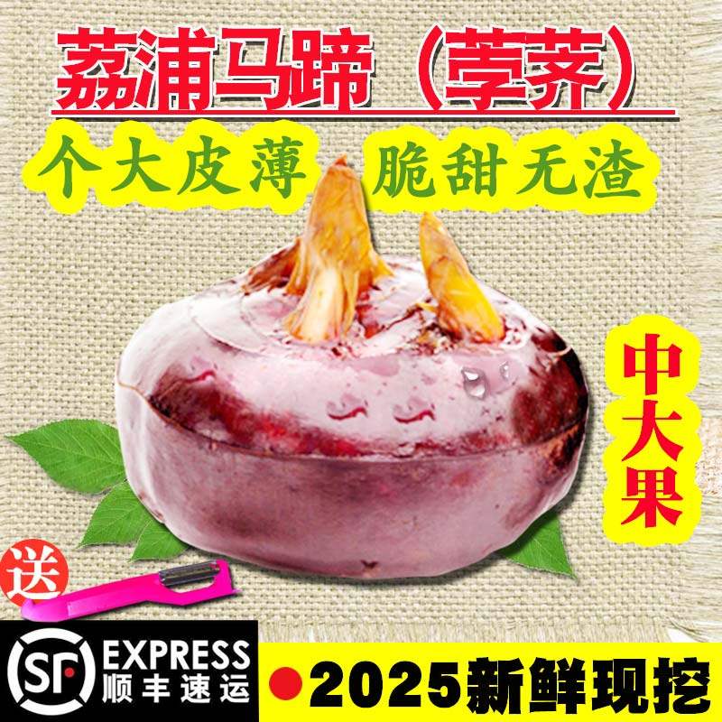 顺丰正常发货中荔浦马蹄送削皮刀