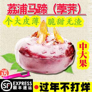 广西特产新鲜荔浦马蹄荸荠地栗地梨水果蔬菜大脆红马蹄果包邮中大