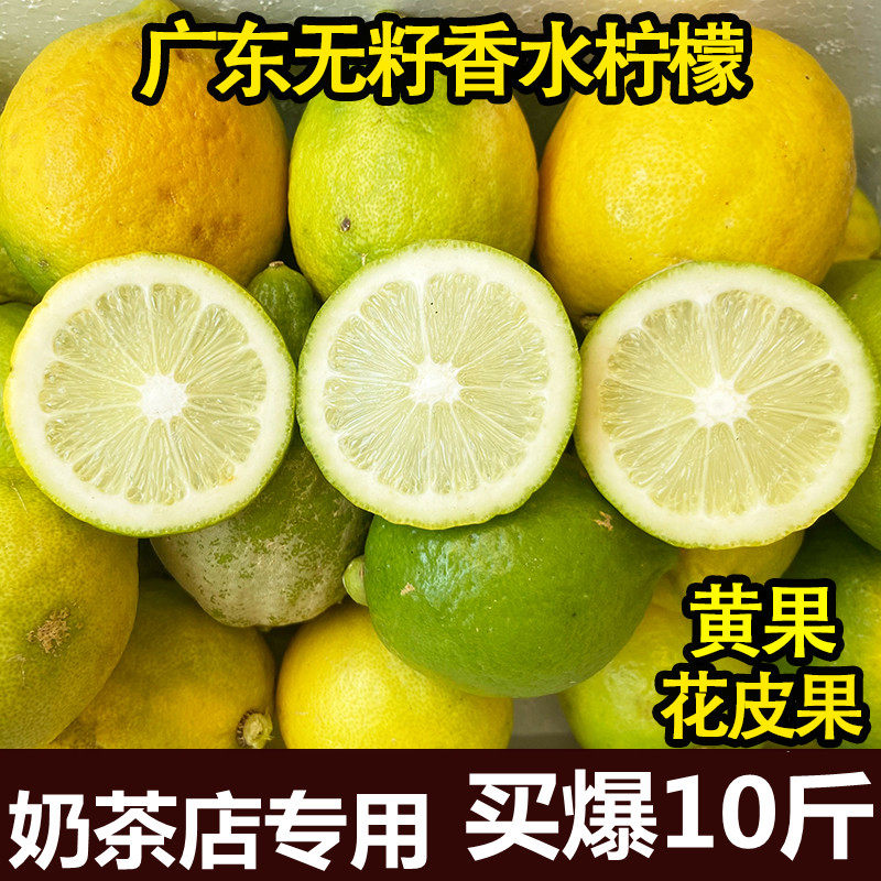 广东无籽香水柠檬新鲜奶茶