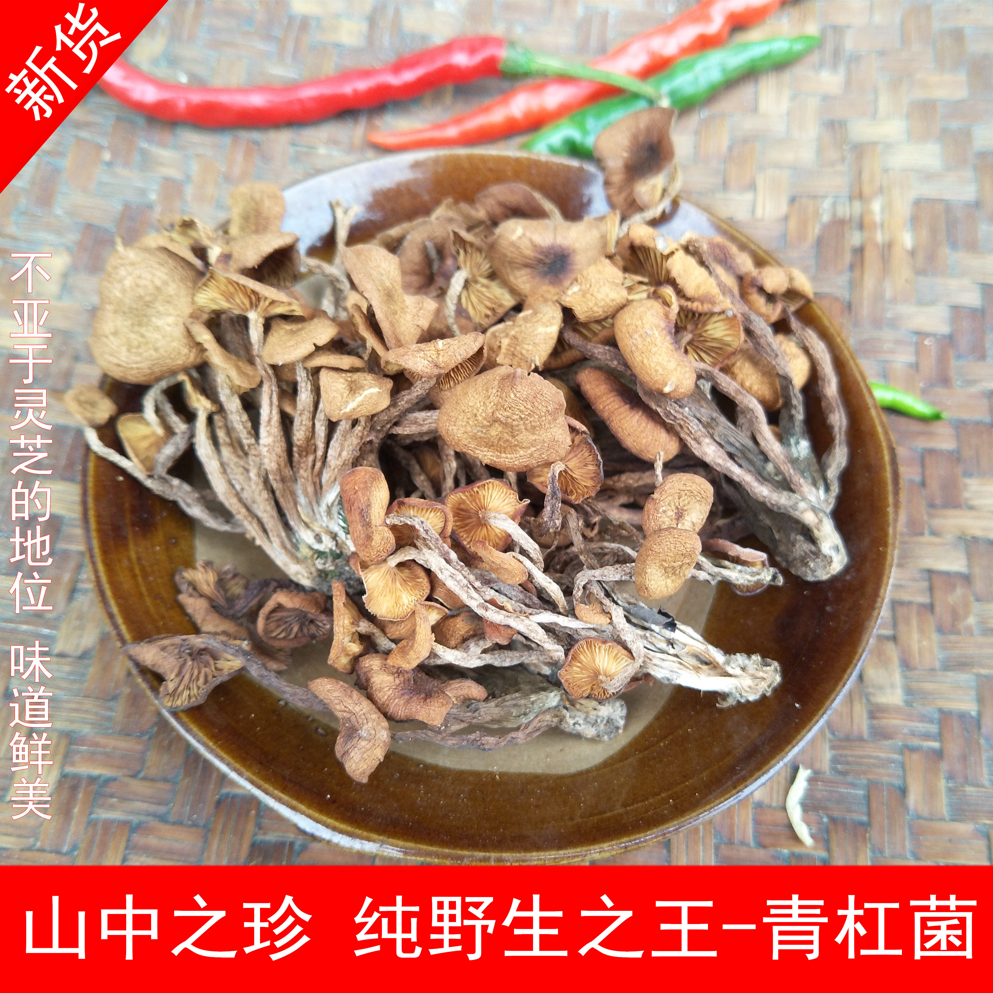 2023年新货纯野生青冈菌 非茶树菇深山青杠菌食用菌王