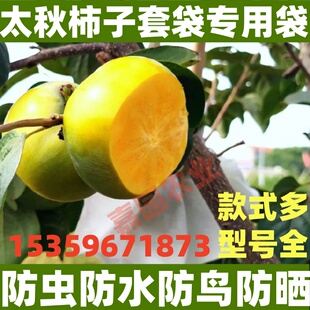 太秋甜柿套袋专用袋红柿子甜柿子防虫袋黄金果袋子黄晶果纸袋套袋