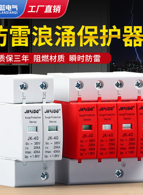 浪涌保护器2P4P防雷器220V380V光伏家用避雷器20KA40KA电涌保护器