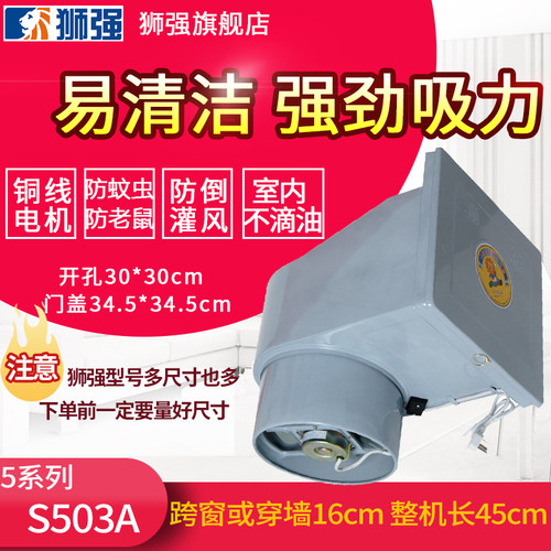 狮强厨房10寸窗式排油烟换气扇