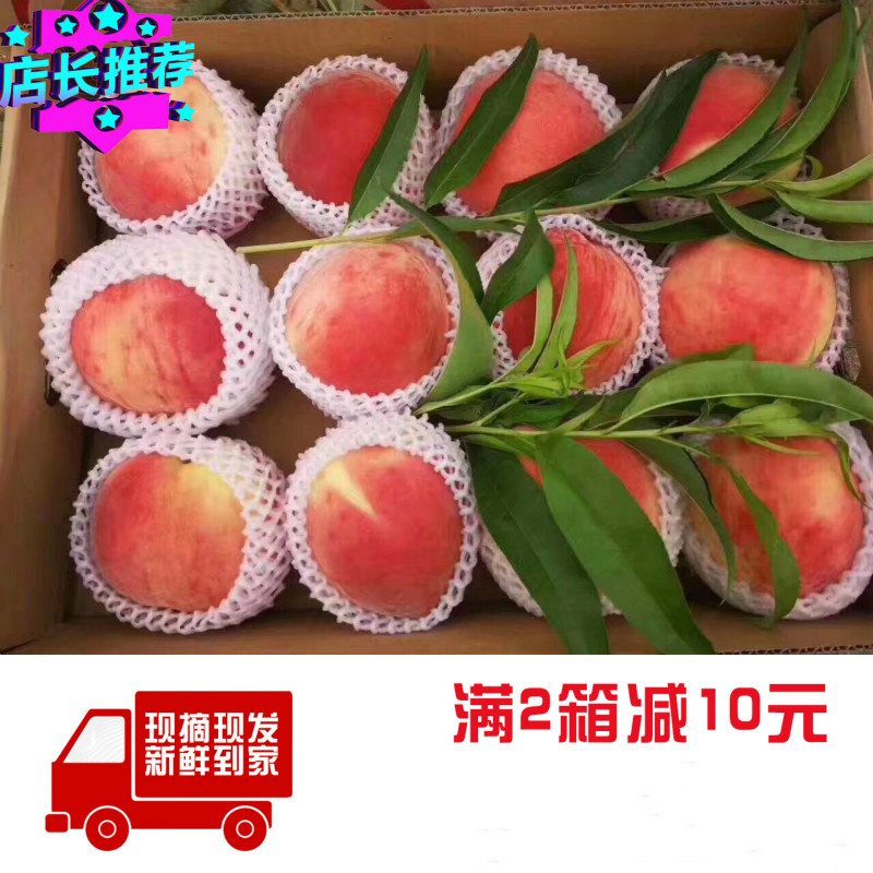 北京平谷大桃  现摘现发 水蜜桃 新鲜水果脆甜桃子