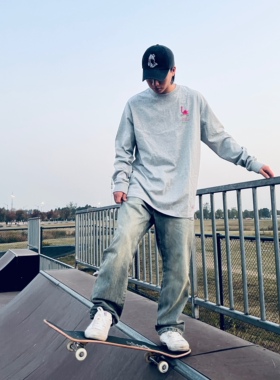 SKALUTE 春秋纯棉灰色恐龙滑板LOGO宽松滑板潮流长T恤长袖