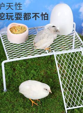芦丁鸡喂食喂水饲养用品