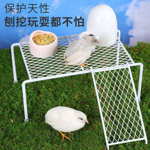 芦丁鸡喂食喂水饲养用品