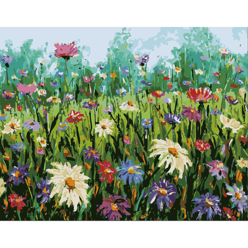 数字油画包邮24小时发货填色居家装饰亲朋送礼佳品五彩菊花