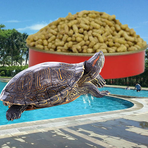 巴西龟观赏龟超鼎极红龟粮龟饲料