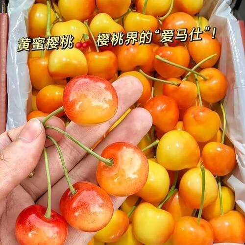 正宗车厘子国产黄樱桃黄蜜新鲜水果当季现摘现发孕妇宝宝辅食