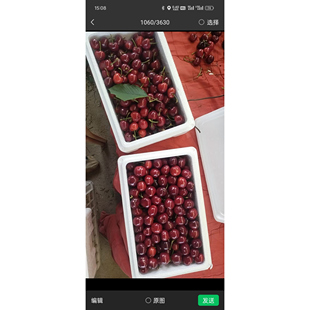 国产樱桃小樱桃美早车厘子 实图山东烟台大樱桃新鲜水果孕妇当季