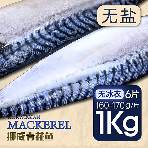 挪威进口青花鱼超大片新鲜青占鱼