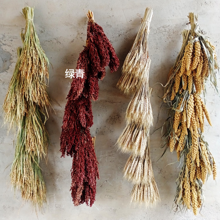 真实麦穗谷穗高梁穗水稻捆挂件向日葵挂串农作物干农家乐影视装饰