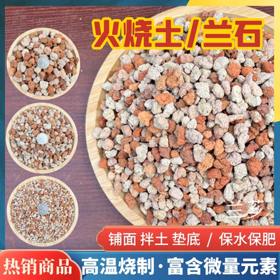 兰花专用土红兰石火烧土绿沸石拌料颗粒土多肉营养土铺面石火山石