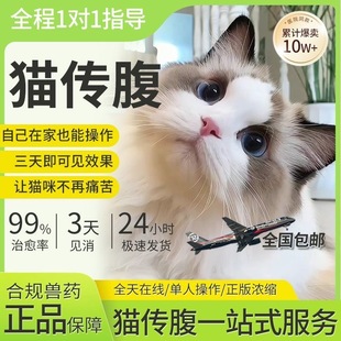 猫传腹干性湿性猫咪传腹油剂水剂特针剂口服片剂六年稳定版营养液