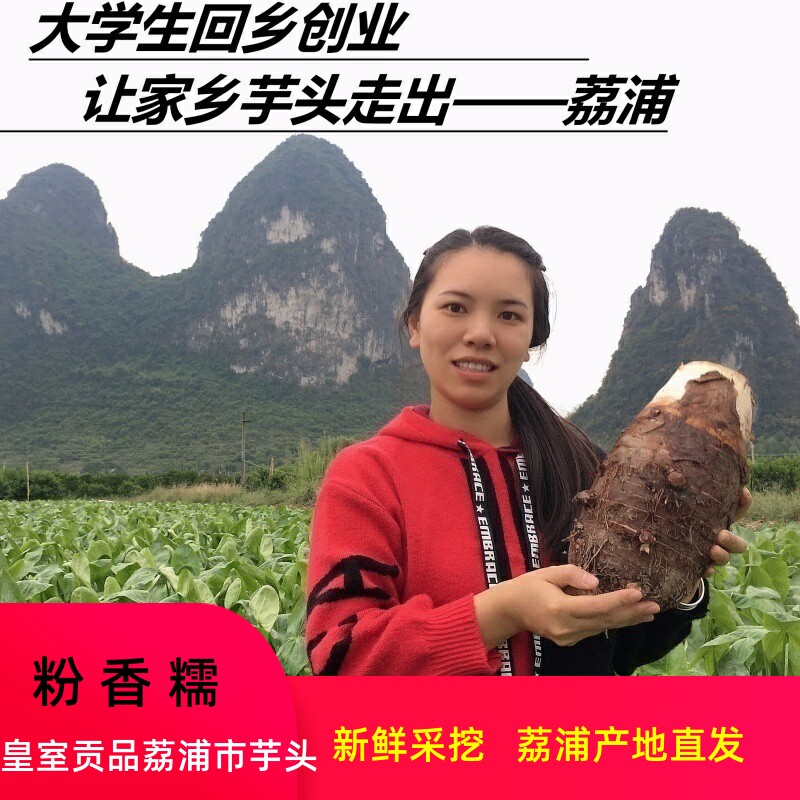 正宗广西荔浦芋头新鲜现挖槟榔芋香芋紫藤芋荔浦直发5斤10斤包邮