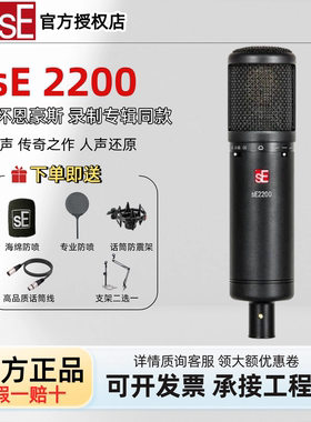 sE 2200 电容话筒录配音有声书直播 K歌主播唱歌麦克风大振膜话筒