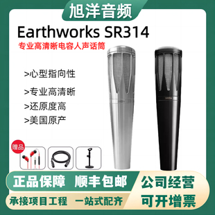 Earthworks SR314手小振膜电容麦克风舞台现场直播话筒美国原产