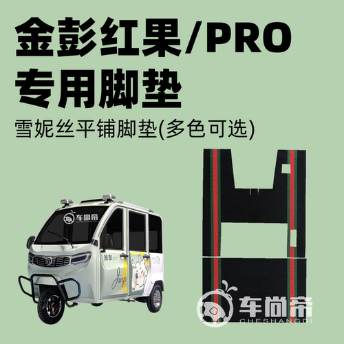 【金彭红果PRO专用脚垫】电动三轮车雪妮丝丝圈脚踏垫JP1000DZK-2